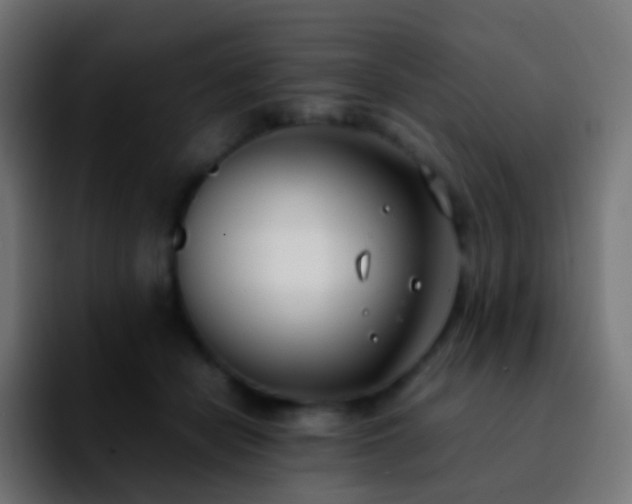 X0000092240462200709211046