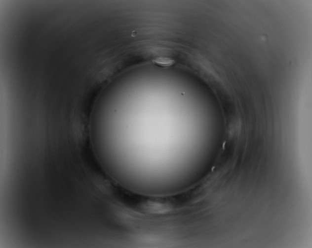 X0000092240464200709211046