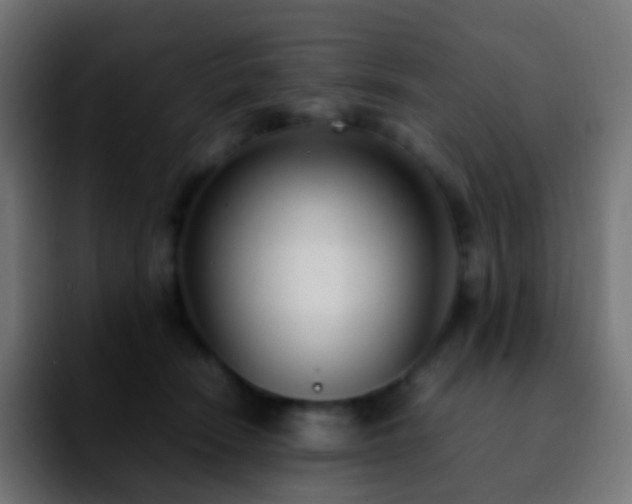 X0000092240466200709211046