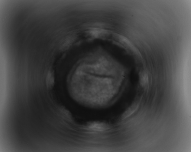 X0000092240471200709211047