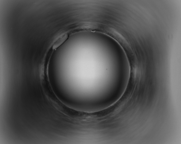 X0000092240484200709211046