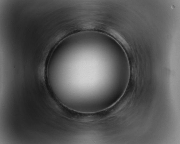 X0000092240485200709211046