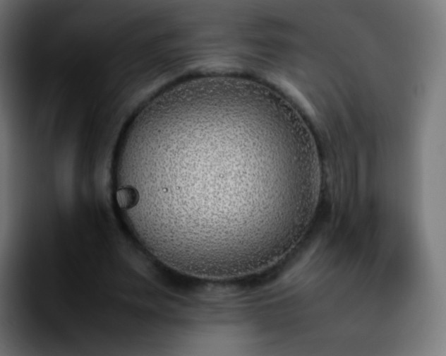X0000092240487200709211046