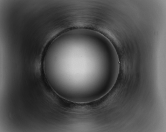 X0000092240488200709211046