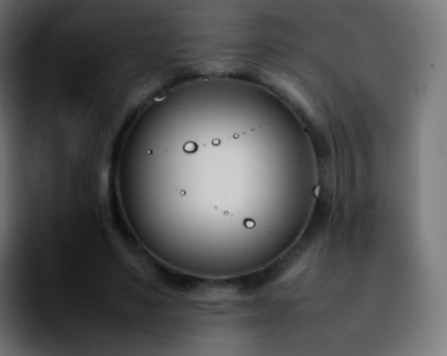 X0000092240491200709211046