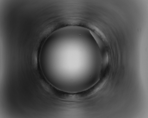 X0000092240493200709211046