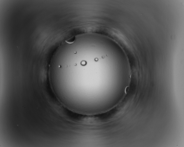 X0000092240499200709211046