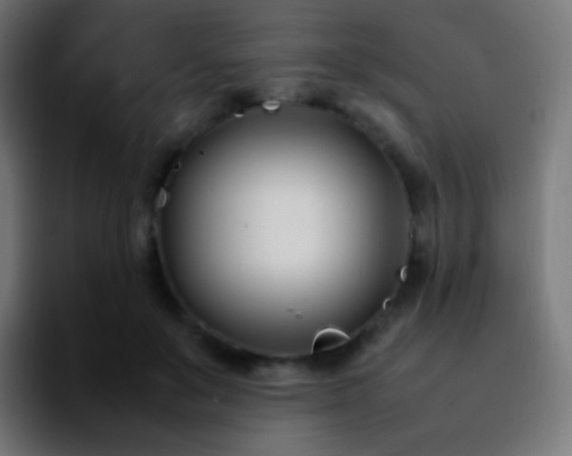 X0000092240503200709211046