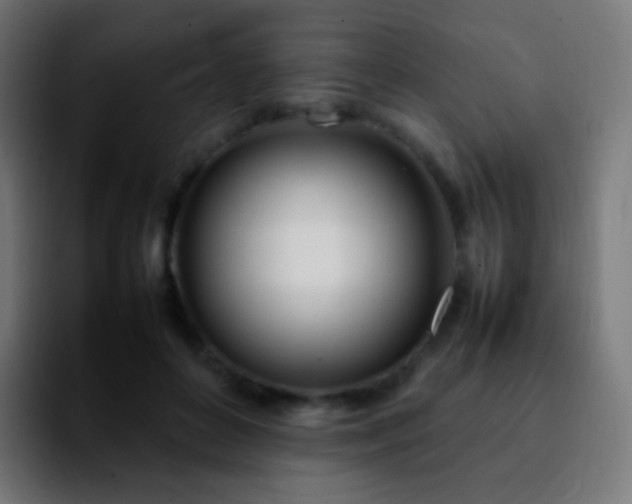 X0000092240504200709211046