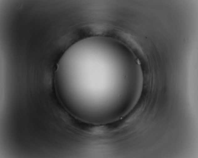 X0000092240505200709211046