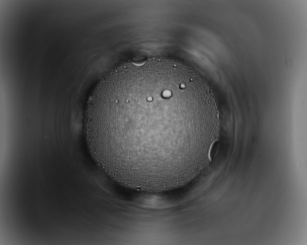 X0000092240507200709211046