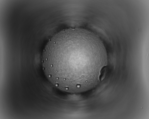 X0000092240511200709211046