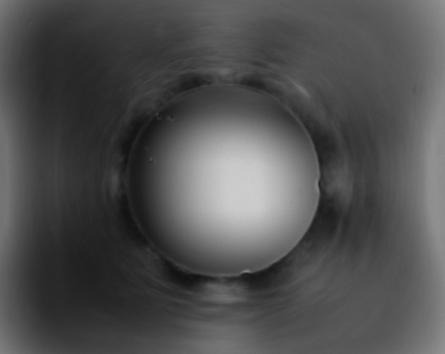 X0000092240515200709211046