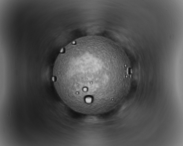 X0000092240519200709211046