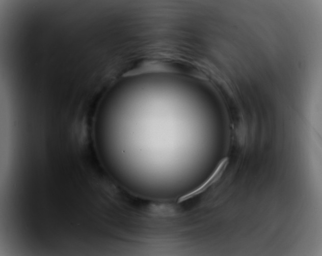 X0000092240520200709211046