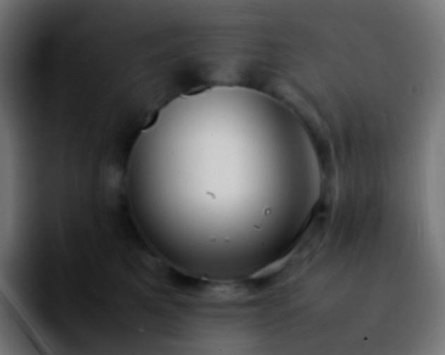 X0000092240521200709211046