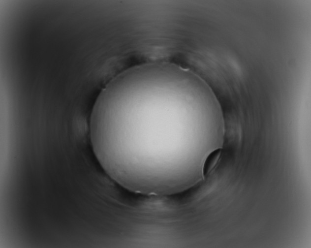 X0000092240523200709211046