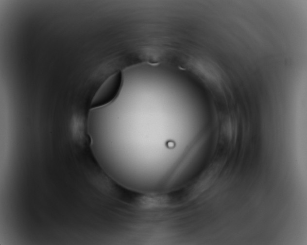 X0000092240526200709211046