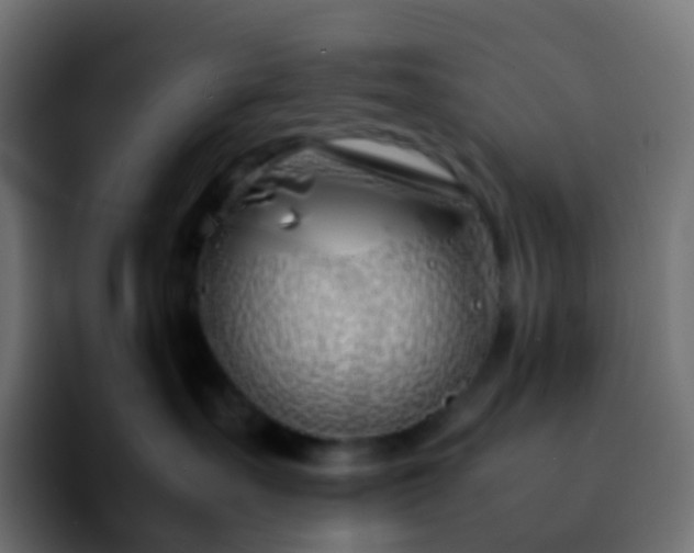 X0000092240527200709211046