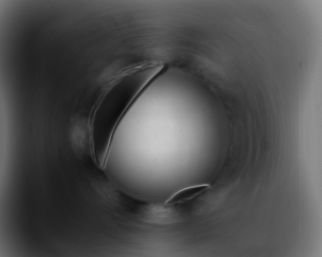 X0000092240528200709211046
