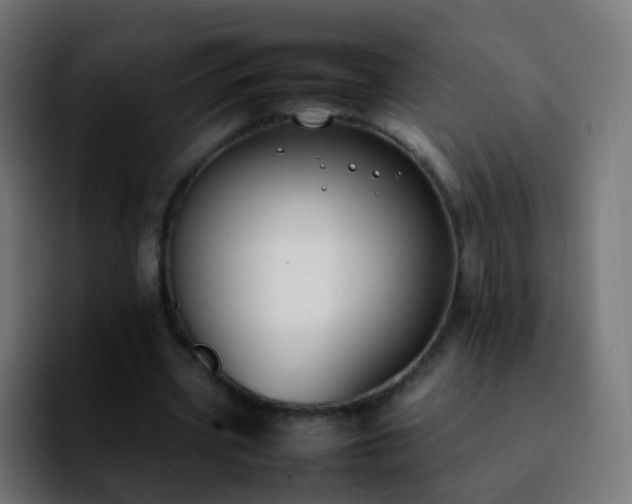 X0000092240533200709211045
