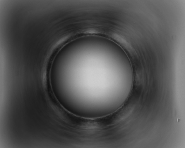 X0000092240535200709211045