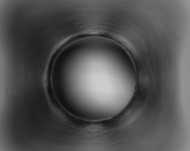 X0000092240536200709211045