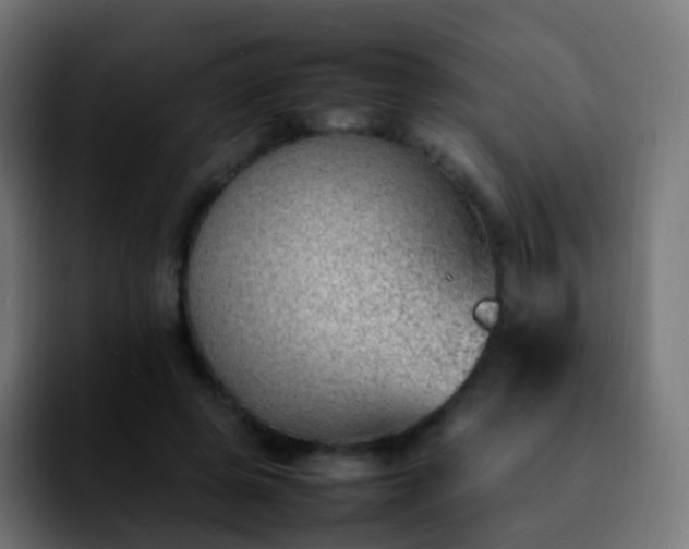 X0000092240545200709211045
