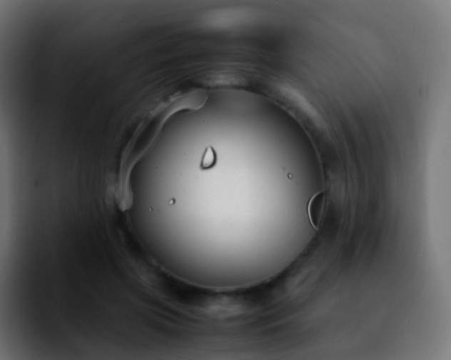 X0000092240549200709211045