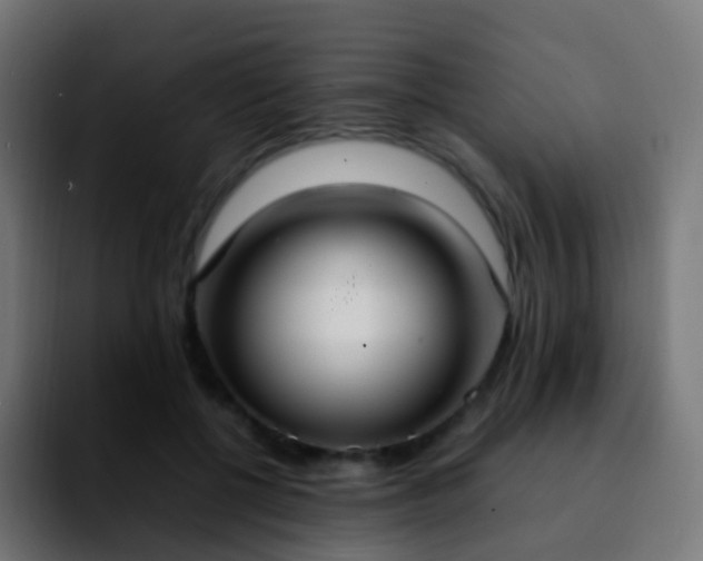 X0000092240552200709211045