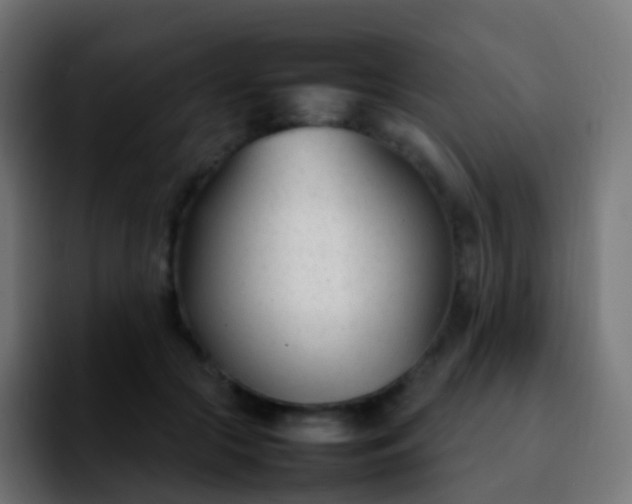 X0000092240553200709211045