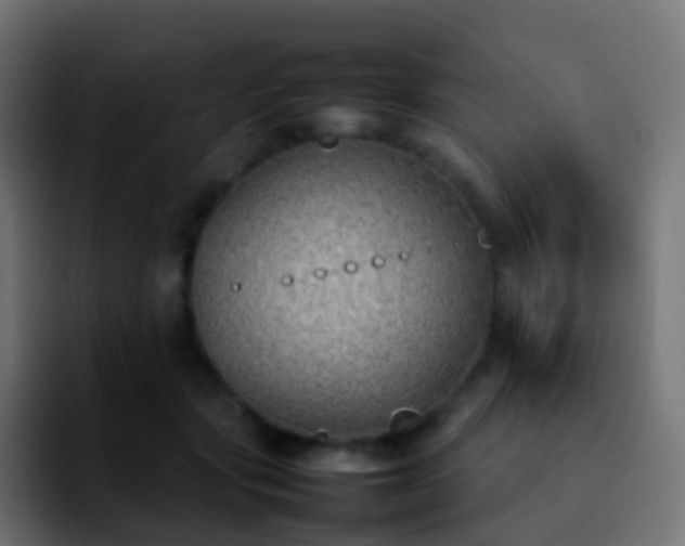 X0000092240557200709211045