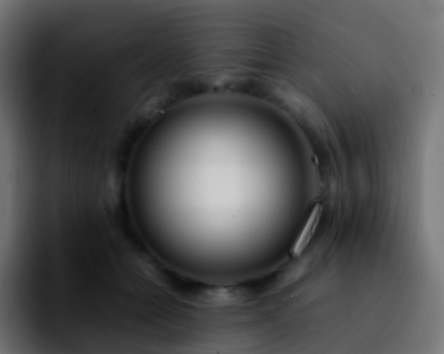 X0000092240558200709211045