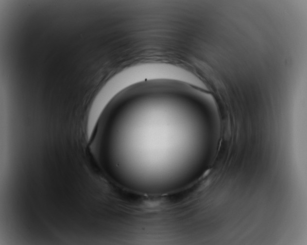 X0000092240560200709211045