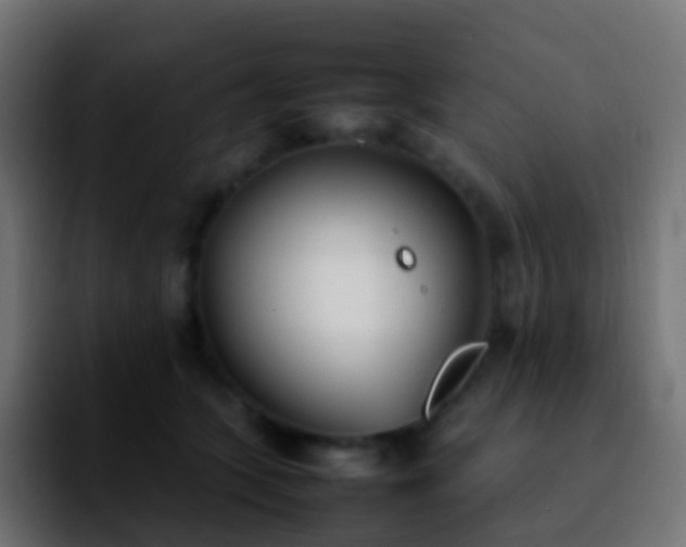X0000092240563200709211045