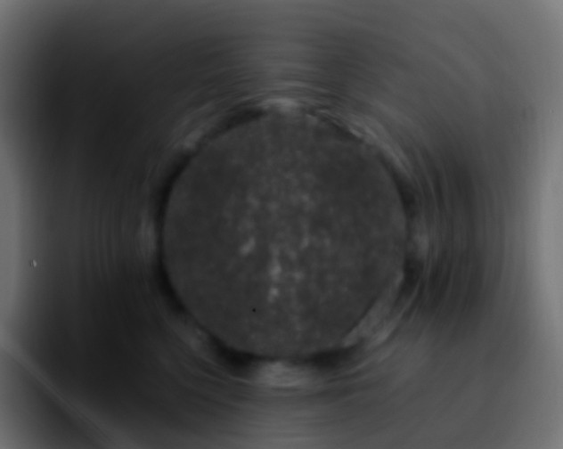 X0000092240568200709211045