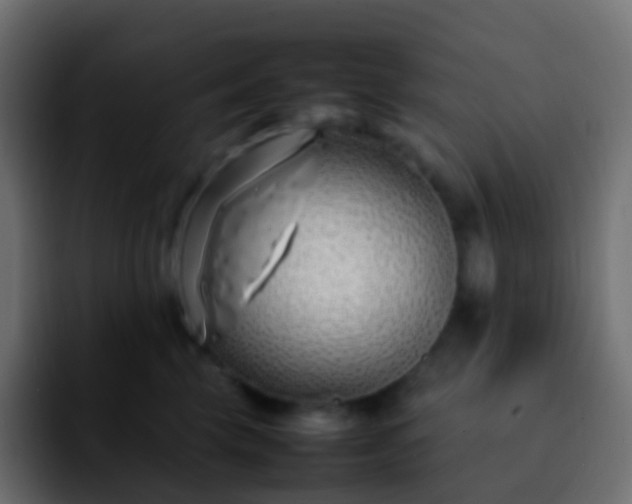 X0000092240569200709211045