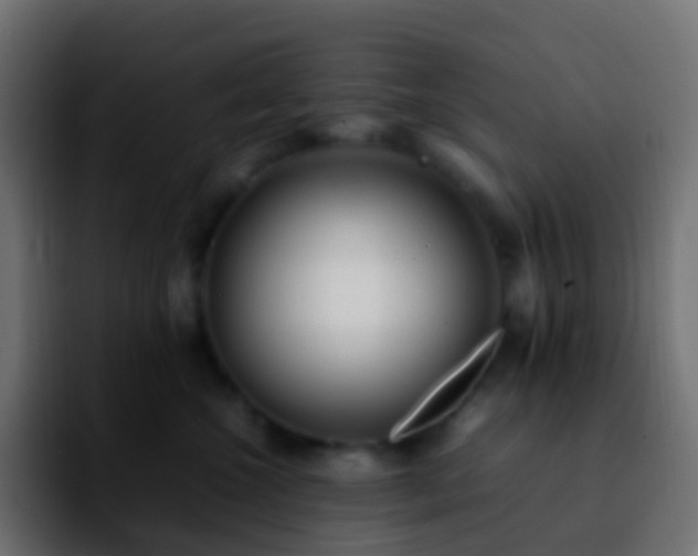 X0000092240572200709211045