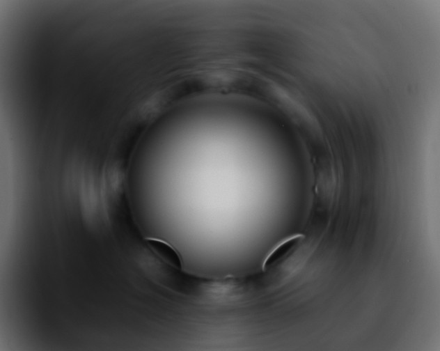 X0000092240574200709211045