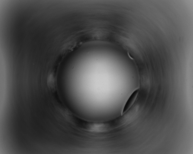 X0000092240575200709211045