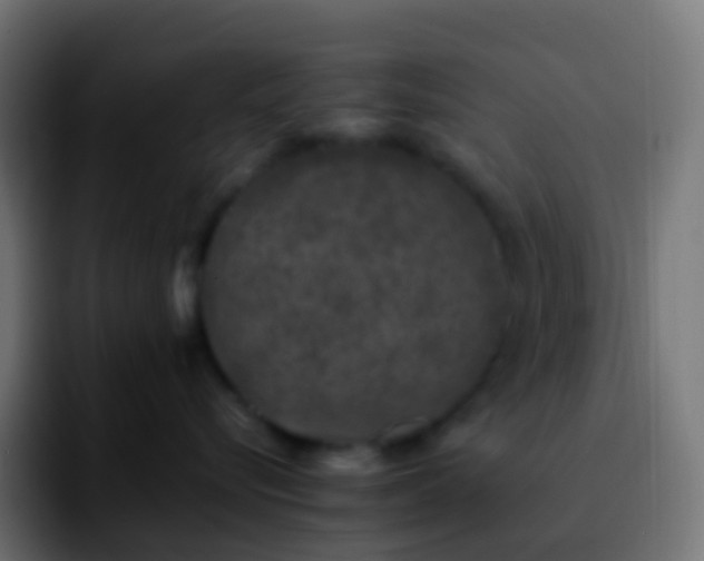 X0000092240576200709211045