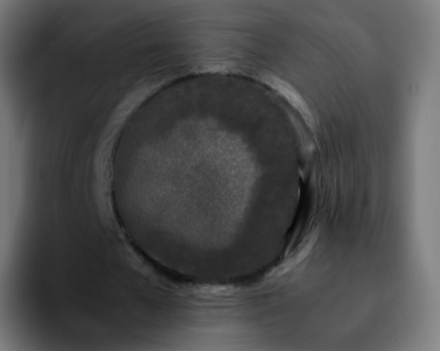 X0000092240577200709211045