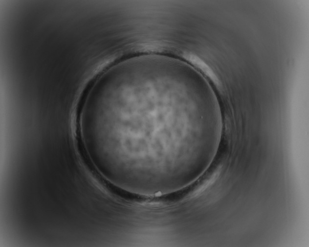 X0000092240581200709211045