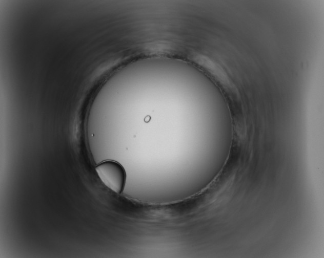 X0000092240583200709211045