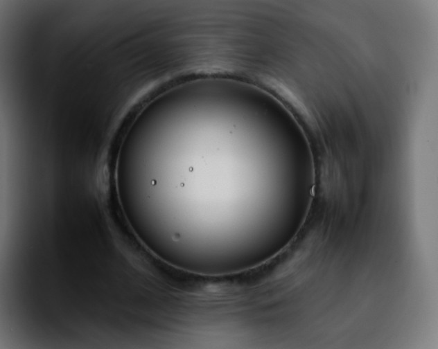 X0000092240584200709211045