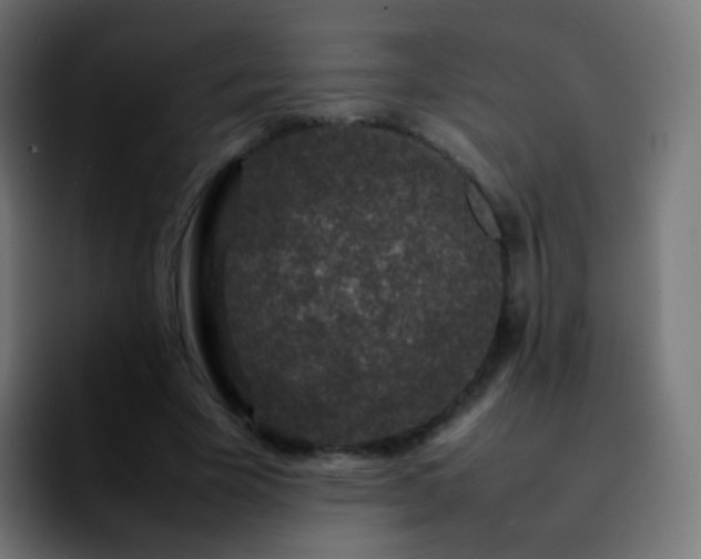 X0000092240585200709211045