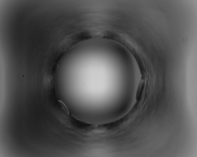 X0000092240601200709211045