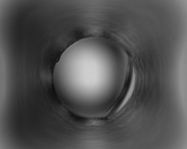 X0000092240617200709211044