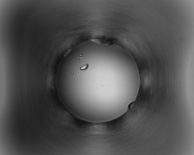 X0000092240619200709211044