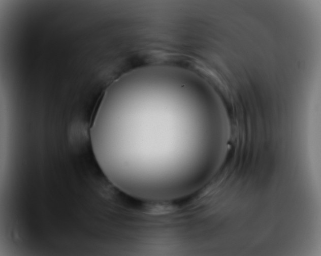 X0000092240621200709211044